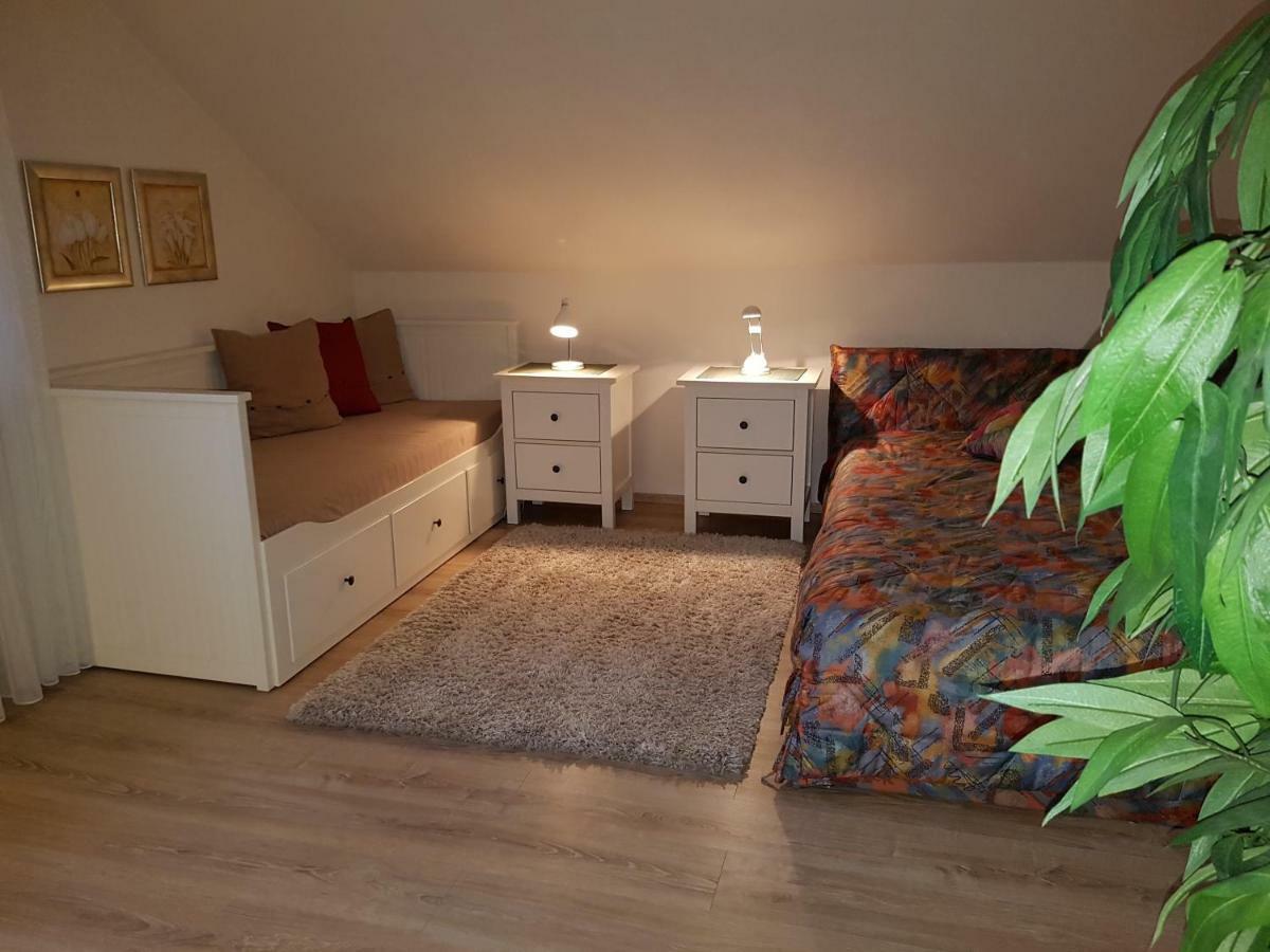 Haus Homann-Schneider, Apartment Stefan Wetter  Εξωτερικό φωτογραφία